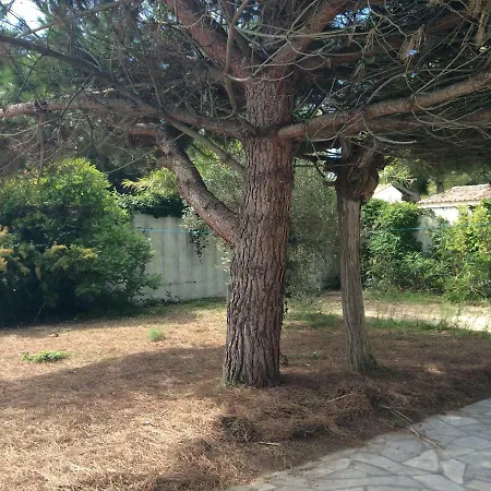 Maison Ile De Re Hébergement de vacances