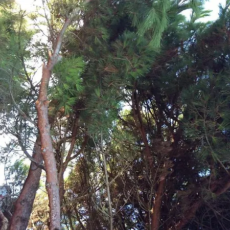 Maison Ile De Re Prázdninový dům