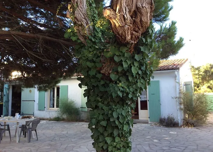 Maison Ile De Re Prázdninový dům *