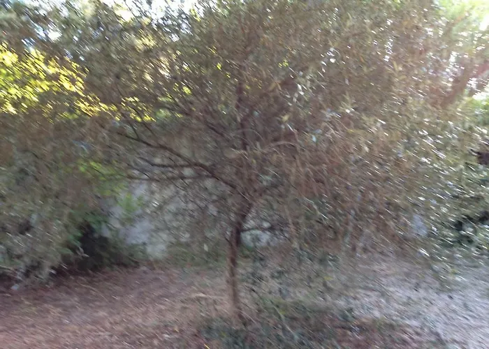 Maison Ile De Re *