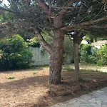 Maison Ile De Re Holiday home