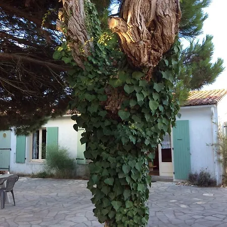 Maison Ile De Re Ferienhaus *