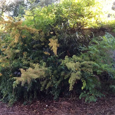 Maison Ile De Re Holiday home