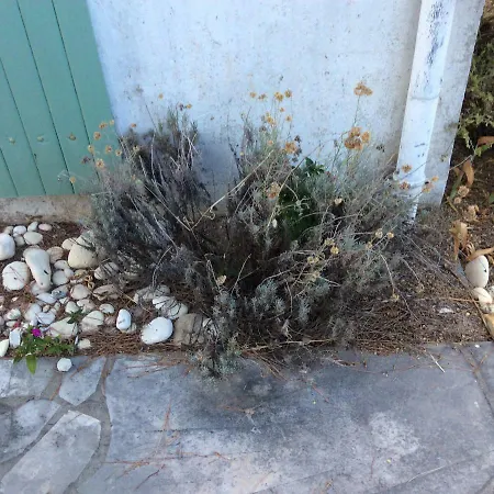 Maison Ile De Re * לה קווארד-סור-מר