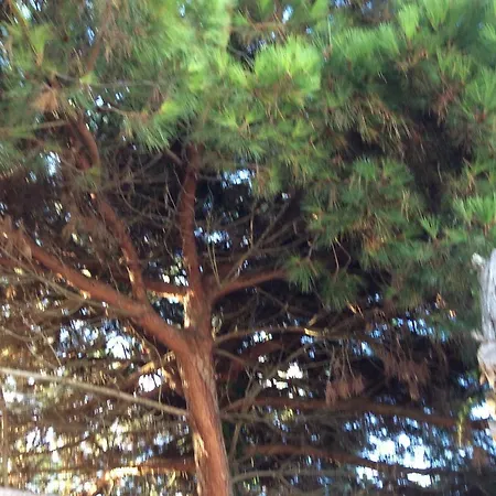 Maison Ile De Re Ferienhaus *