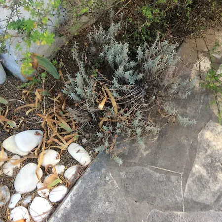 Maison Ile De Re Holiday home *