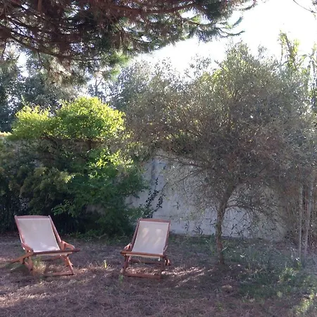 Maison Ile De Re * La Couarde-sur-Mer